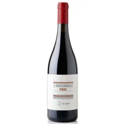 Aglianico in Anfora Phos 0,75l