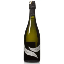 Franciacorta Extra-Brut Blanc de Blancs 0,75l