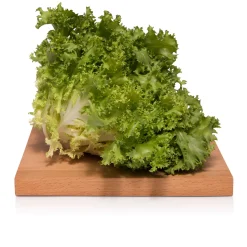 Insalata Indivia Riccia 1Kg
