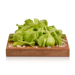 Insalata Lattughino 100g
