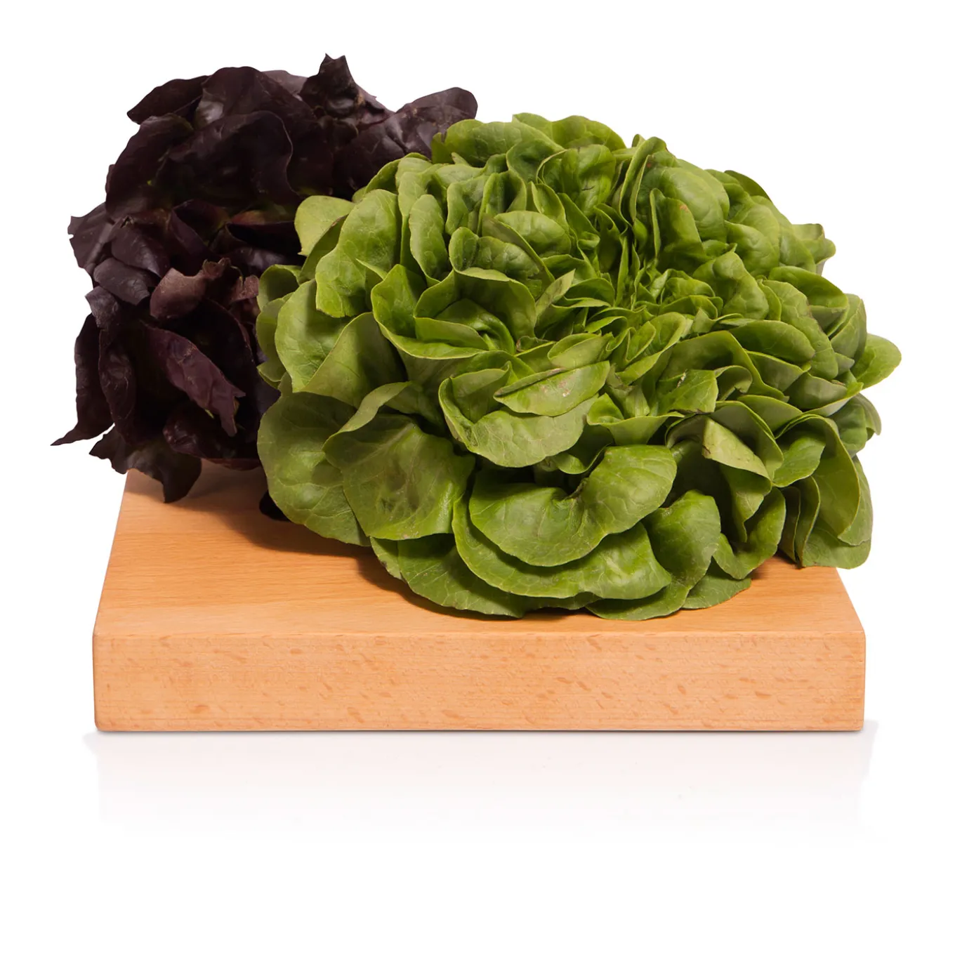Insalata Salanova 800g