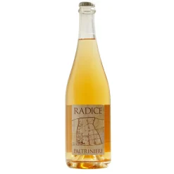 Lambrusco di Sorbara DOC Radice 0,75l