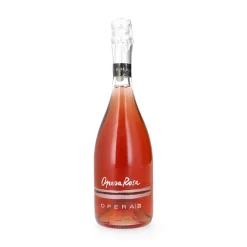 Lambrusco Grasparossa Rosa 0,75l