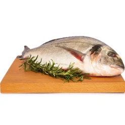 Orata di Orbetello 600g