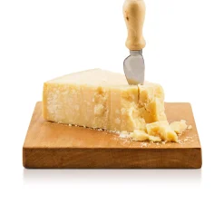 Parmigiano Reggiano DOP 24 mesi 500g