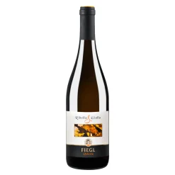 Ribolla Gialla di Oslavia 0,75l