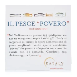 Ruota Delle Stagioni Pesce