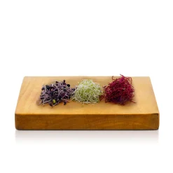 Tris di Germogli 60g