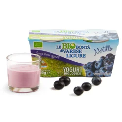 Yogurt ai mirtilli 2x125g
