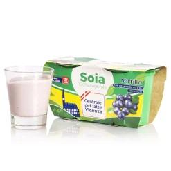 Yogurt di Soia al Mirtillo 2x125g