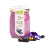 Yogurt Magro al Mirtillo 500g