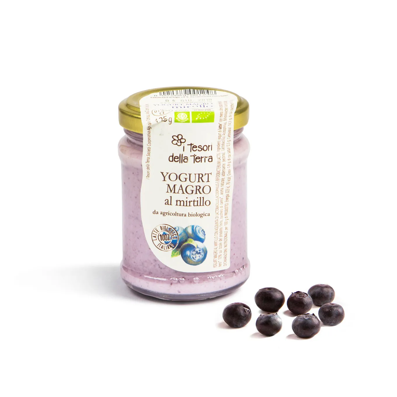Yogurt Magro al Mirtillo Bio 125g