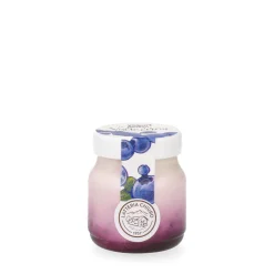 Yogurt Mirtilli 150g